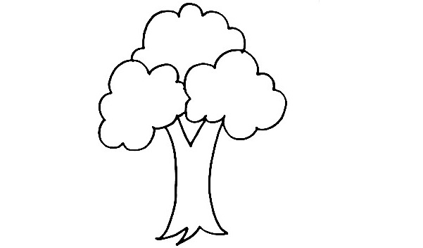 Tree-Drawing-5
