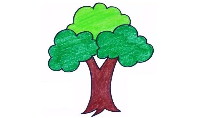 Tree-Drawing-6