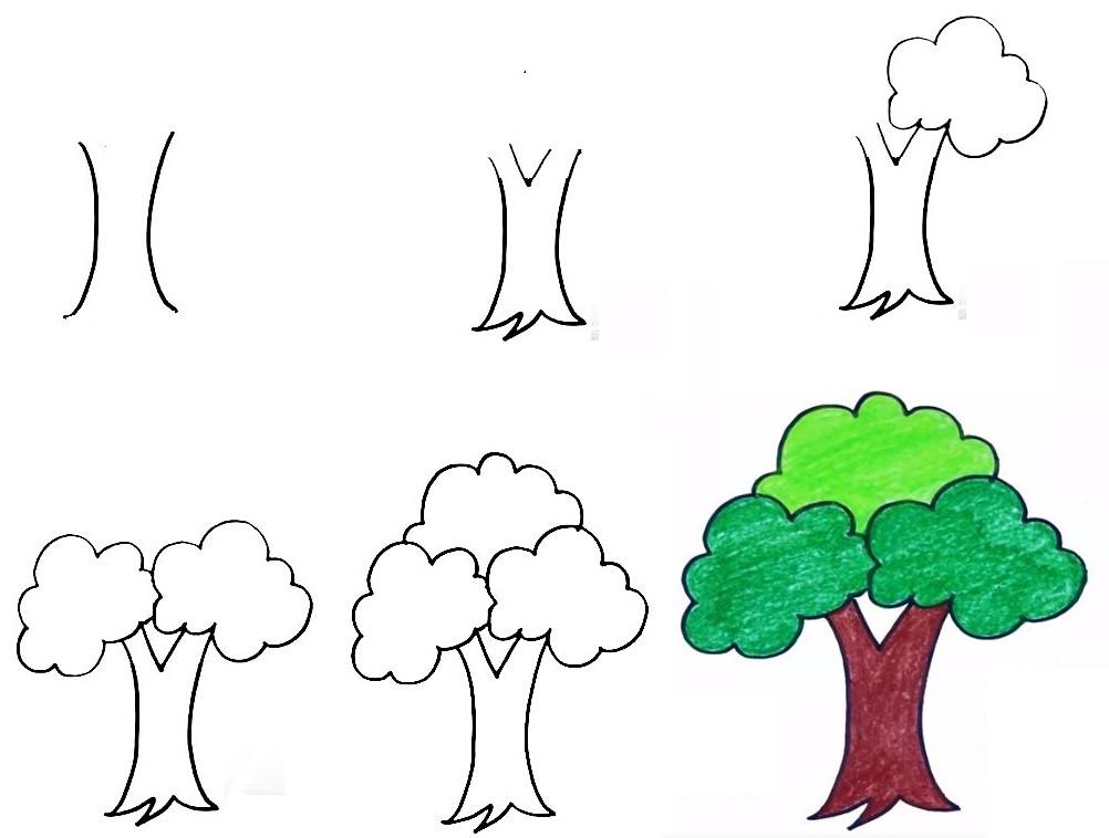 Tree-Drawing