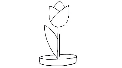 Tulip-Drawing-6