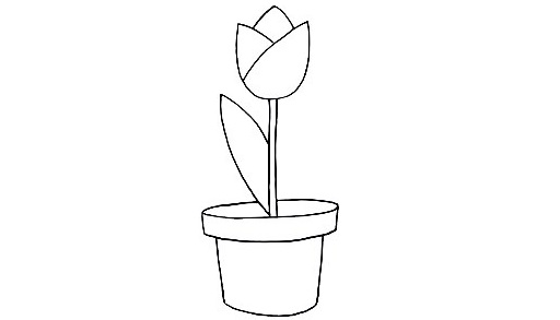 Tulip-Drawing-7