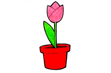 Tulip-Drawing-8
