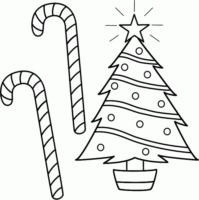 Two Candy Cane And Tree