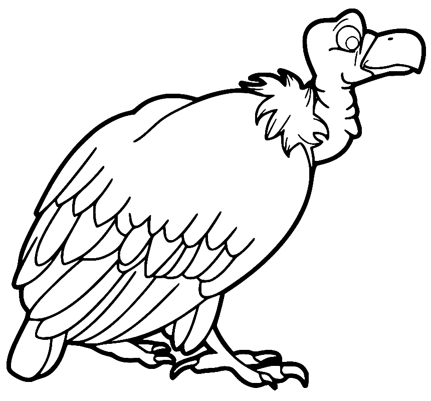 Vulture Coloring Pages