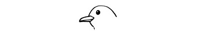 Bird-Drawing-1