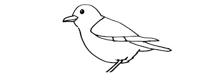 Bird-Drawing-3