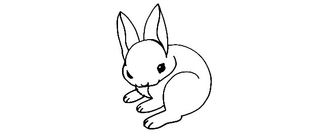 Bunny-Drawing-4