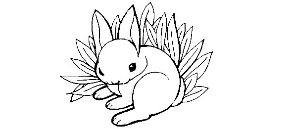 Bunny-Drawing-5
