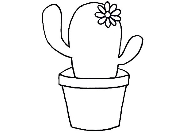 Cactus-Drawing-4