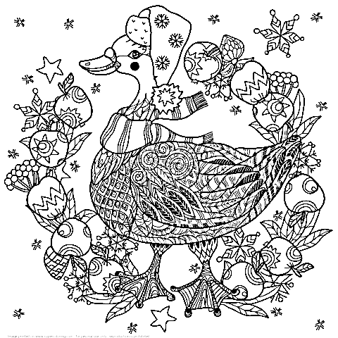Christmas Goose With Apples Zentangle