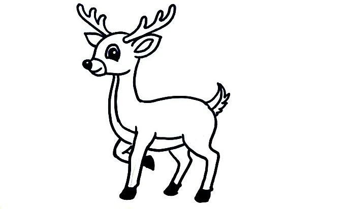 Deer-Drawing-4