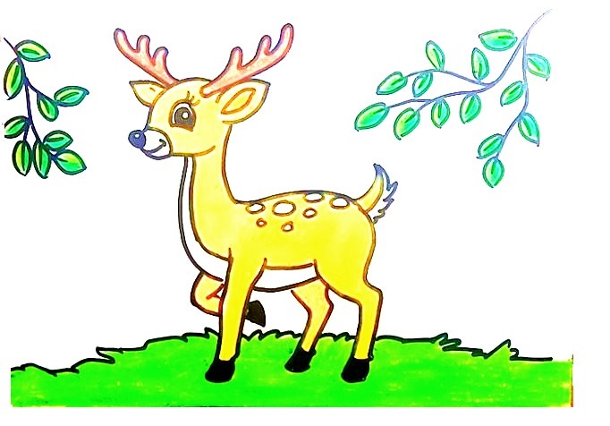 Deer-Drawing-6