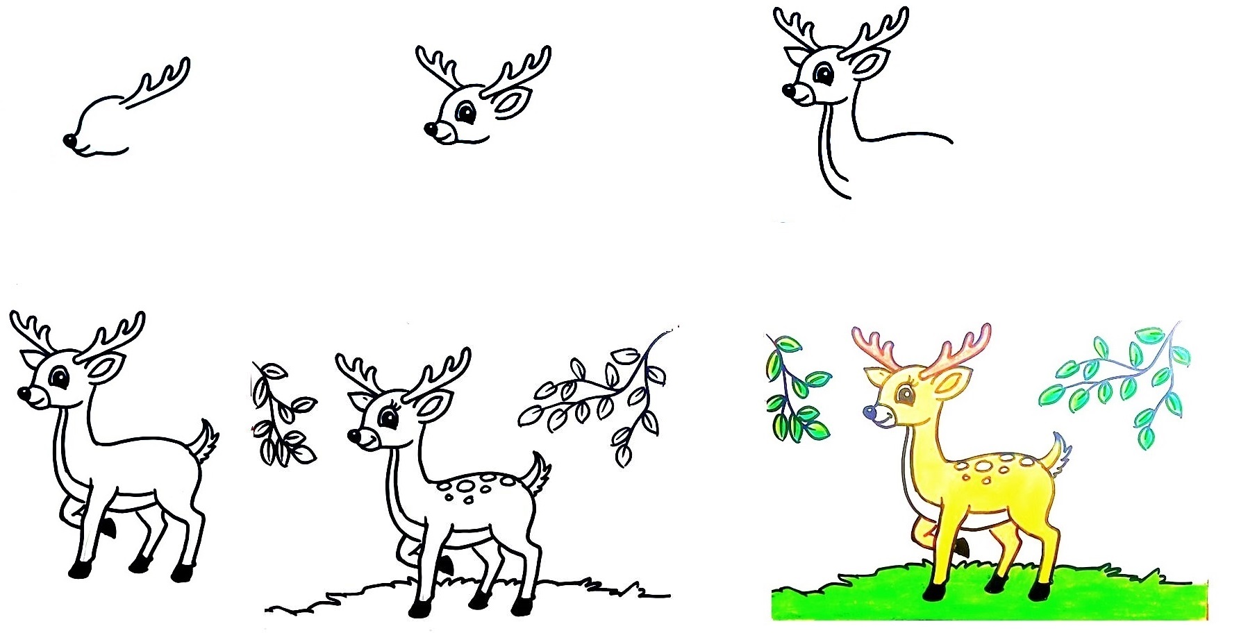 Deer-Drawing