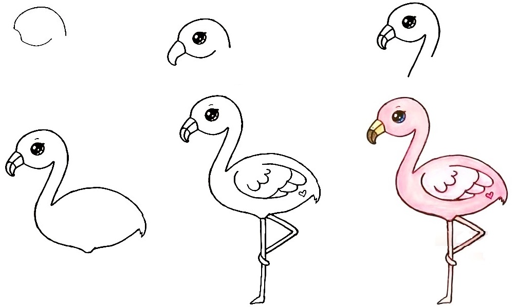 Flamingo-Drawing