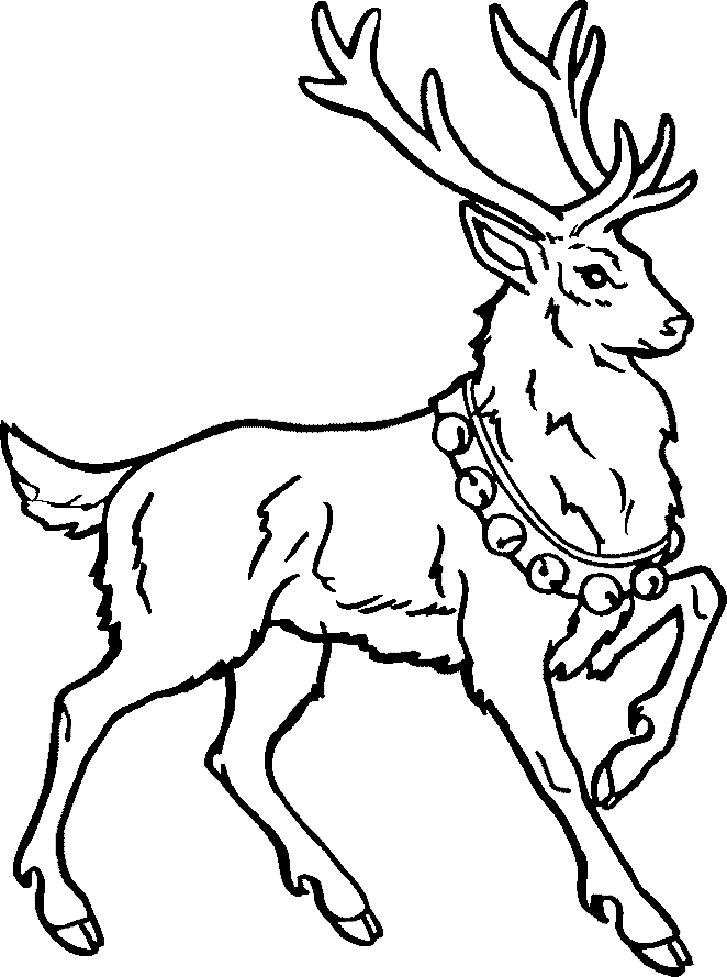 Reindeer Christmas Printable Coloring Page