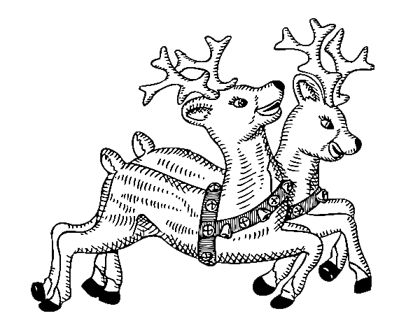 Reindeer For Children